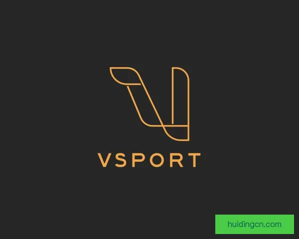 关于VSport